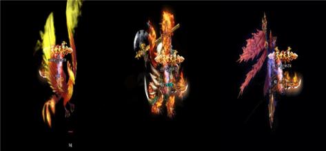 ���˴����������