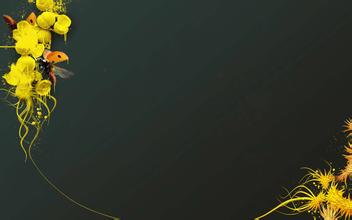 热血传奇符石怎么升级